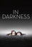 In Darkness