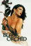 Black Orchid