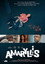 Amaryllis