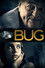 Bug