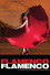 Flamenco Flamenco
