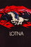 Lotna