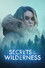Secrets in the Wilderness