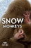 Wild Japan: Snow Monkeys