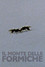 Il Monte Delle Formiche