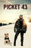 പിക്കറ്റ് 43