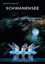 Royal Opera House 2021/22: Swan Lake