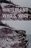 Hinterland Who's Who: Gannet