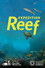 Expedition Reef