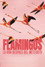 Flamingos: La vida después del meteorito