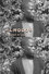 Almodou