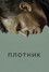 Плотник