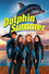 Dolphin Summer