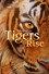 Tigers on the Rise