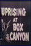 Uprising at Box Canyon