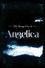O Estranho Caso de Angélica