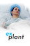 Explant