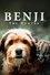 Benji the Hunted