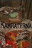 Kamraterna