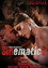 Sinematic 2