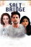 Salt Bridge