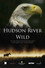 Hudson River Wild