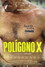 Polígono X