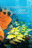 Impressionen unter Wasser