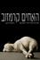 האחים קרמזוב: גשר