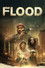 Flood