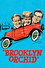 Brooklyn Orchid