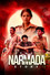 The Narmada Story