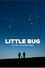 Little Bug