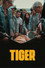 Tigru