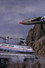 Thunderbirds: Brink of Disaster