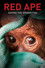 Red Ape: Saving the Orangutan