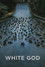 Fehér Isten