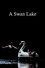 A Swan Lake