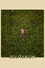 Solitarium