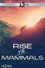 Rise of the Mammals