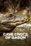 Cave Crocs of Gabon