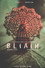Bliain