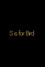 S is for BIRD