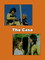 The Case