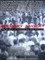 Ordinary Savage: The Origins of Violence and Hurt Feelings