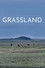 Grassland