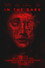 In the Dark
