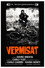 Vermisat