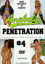 Penetration 4