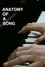 Anatomy of a Song